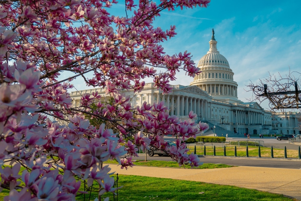 Tour a Washington desde Nueva York